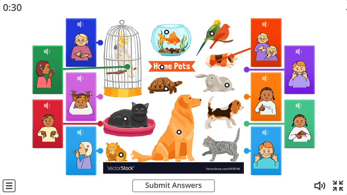 BSL EYFS Topics PETS Wordwall BUNDLE DeafBooks