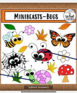 BSL MINIBEASTS – GAMES & ACTIVITIES BUNDLE - EYFS